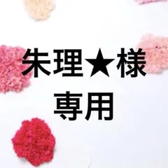 2L　ブラック×3　胸を小さく見せるブラ　シームレス 着痩せ　美胸