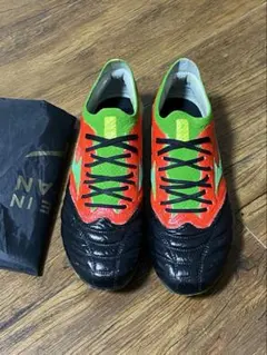 Item thumbnail for item caf4a0ce-6550-4481-aa76-70842010ae58