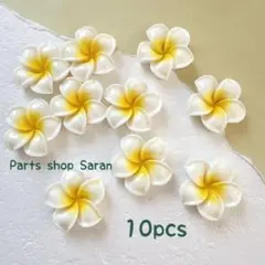 Item thumbnail for item d2d53b2b-7186-4bc5-bd75-3341409cf94c