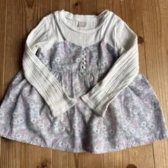 プティマイン　110