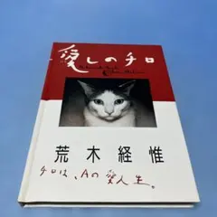 愛しのチロ　荒木経惟