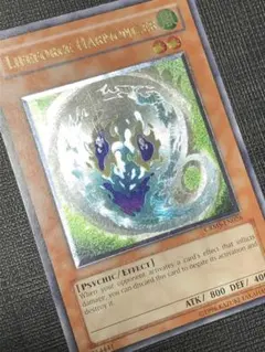 レリーフ 遊戯王OCG デュエルモンスターズ(外国語版)