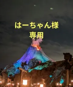 はーちゃん様専用