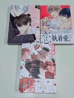bl漫画セット まとめ売り