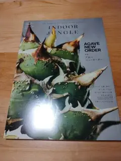 インドアジャングル　no.4