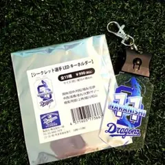 Item thumbnail for item 515b2870-662f-470a-a7df-dc4be78a6c6c