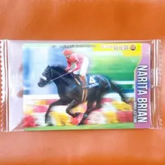 2026年最新】ナリタブライアン アイドルホースの人気アイテム - メルカリ