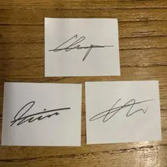 straykids ペンミ　コンフェッティ　紙吹雪　サイン　skzoo 落下物