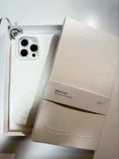 casetify iphone16pro