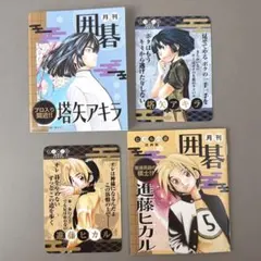 ヒカルの碁 原画展 塔矢アキラ 進藤ヒカル 藤原佐為 ビッグアクリル