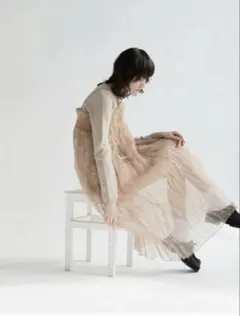 LEINWANDE Recycle Organdy オーガンジープリーツドレス