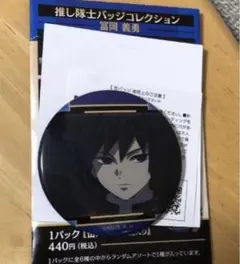 鬼滅の刃　推し隊士バッチコレクション　缶バッジ　冨岡義勇　義勇