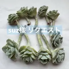 suz様 リクエスト 2点 まとめ商品