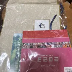 【新品未開封】C101 アリス・ギア・アイギス ピラミッド公式薄い本入りセット