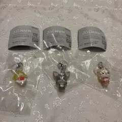 JOCHUM ジェオチャム　めじるしアクセサリー2