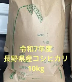 本日17時まで！令和7年産 長野県産コシヒカリ10kg 減農薬 発送前精米