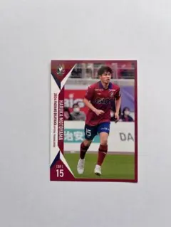 2025年最新】ファジアーノ カードの人気アイテム - メルカリ