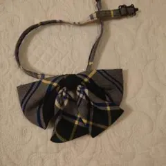 Item thumbnail for item 5bb05136-f0ab-48ae-8547-784e3cfec454