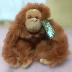 【希少・タグ付き】シンガポール動物園 限定 オランウータン ぬいぐるみ 20cmのサムネイル