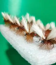 Item thumbnail for item a27b87c2-4f2f-4953-878c-bde62346e79c