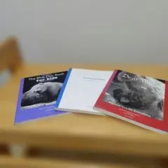 The Blue Day Book　3冊セット