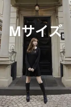 2025年最新】herlipto ワンピース ポロの人気アイテム - メルカリ