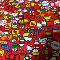 キティちゃん　ハギレ　オックス　平成レトロ　希少　廃盤　2011 サンリオ