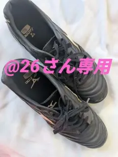 Item thumbnail for item 464dfa9b-eb79-4d4c-9e99-cfff13278e9e