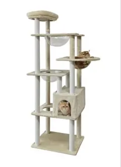 Item thumbnail for item ba9a07be-55a8-4659-87ef-3a19e33f24c6