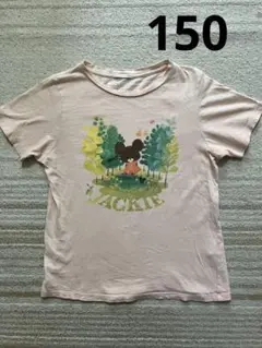 GU くまのがっこう　Tシャツ　150cm