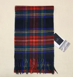 アクアスキュータム マフラー