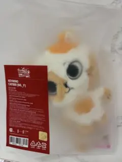 BOYNEXTDOOR ソンホ プネクド キーリング