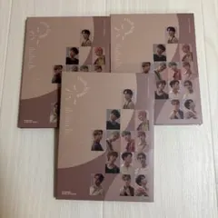 2026年最新】seventeen carat盤の人気アイテム - メルカリ