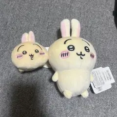 うさぎのぬいぐるみセット