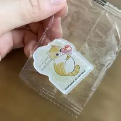 mofusand × くら寿司 アクリルステッカー ④　新品未開封