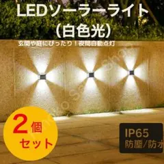 Item thumbnail for item 9849ba0b-103d-4d5c-9b62-ad1e9c2c2dde