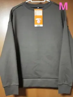 Item thumbnail for item 437a5459-2024-4617-8efa-81afaf16c8a3