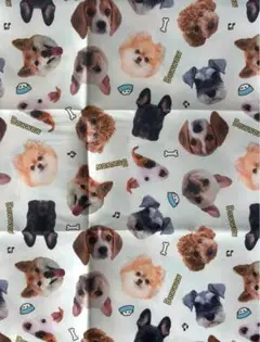 値下げ❣️犬ちゃん生地