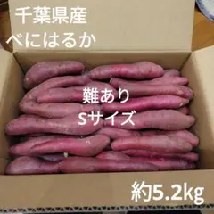 91 難あり　千葉県産　べにはるか　さつまいも　サツマイモ　Sサイズ　約5.2㎏