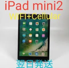 ipad mini2 本体