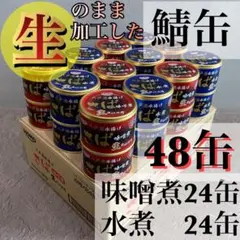 旬鯖　生のまま加工　鯖缶　サバ　水煮味噌煮　48個　国産　ゆう80のサムネイル