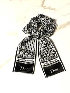 2025年最新】Christian Dior レディース ヘアゴム・シュシュの人気