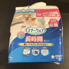 Item thumbnail for item 313e4721-2ad5-4ca8-870e-be51b68a9d58