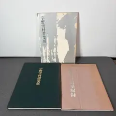 宇野雪村 書道作品集 展覧会図録 3冊セット 遺墨展 書業展 前衛書