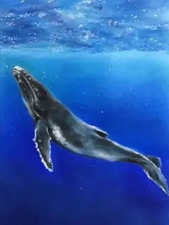 海亀HONU 油彩画 - メルカリ