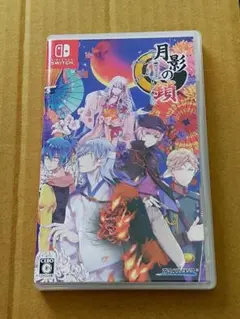 月影の鎖 〜錯乱パラノイア〜通常版
