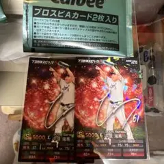 み*つ様 平良海馬キラカード埼玉西武ライオンズプロスピ版 プロ野球チップス 20