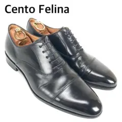 シューツリー付　チェントフェリーナ　ストレートチップレザーシューズ　本革　内羽根