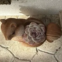 黒紅様 リクエスト 3点 まとめ商品