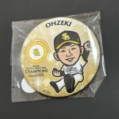 福岡ソフトバンクホークス 若鷹ガチャ 柳田選手 缶バッジ 優勝記念
